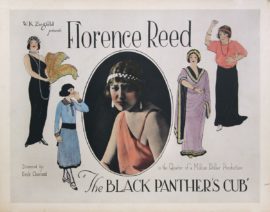 BLACK PANTHER'S CUB, THE (1921) Half sheet poster