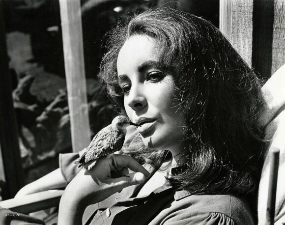 ELIZABETH TAYLOR / THE SANDPIPER (1965)