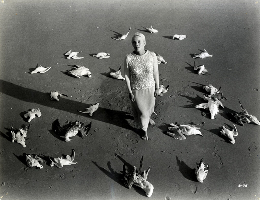 JEAN SEBERG / BIRDS IN PERU [LES OISEAUX VONT MOURIR AU PÉROU] (1968) Set of 4 oversize photos