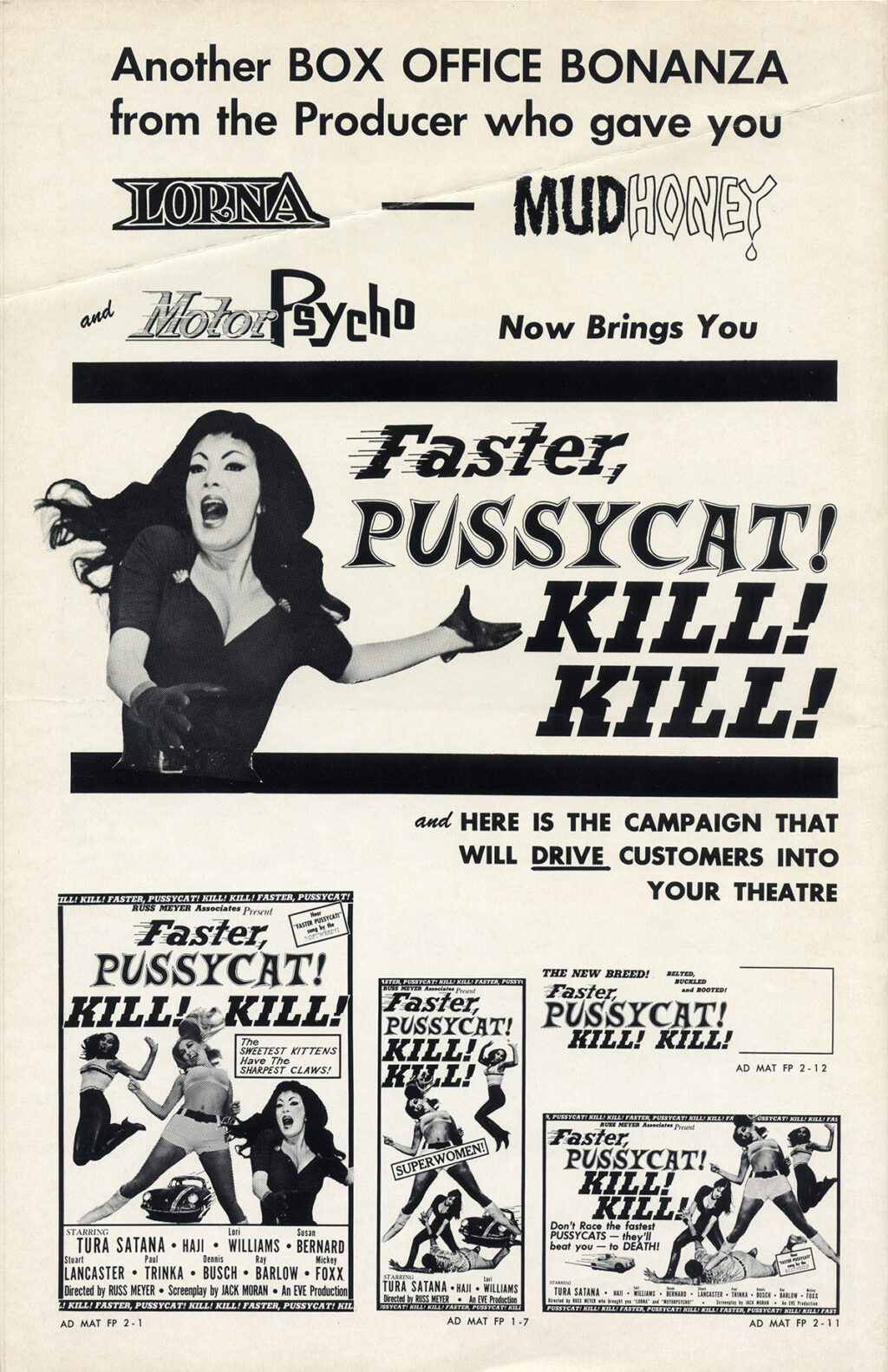 FASTER, PUSSYCAT! KILL! KILL! (1965) Pressbook - Image 5