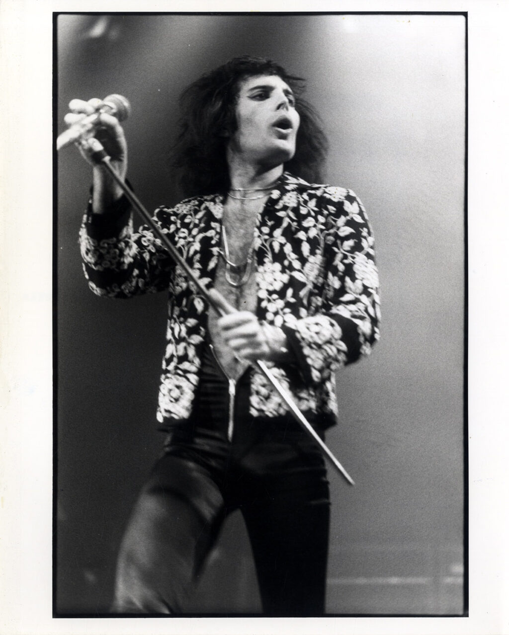 FREDDIE MERCURY / QUEEN (ca. 1976-86) Set of 18 UK photos - Image 8