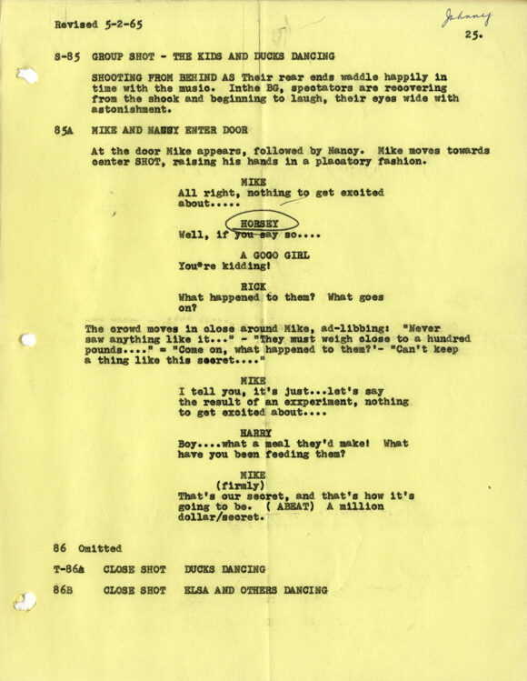 VILLAGE OF THE GIANTS (Apr 13, 1965) Final Draft screenplay by Alan Caillou, signed by Johnny Crawford - Image 11