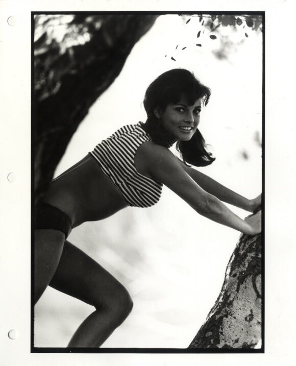 RAQUEL WELCH (ca. 1966) Set of 6 portraits by Curt Gunther