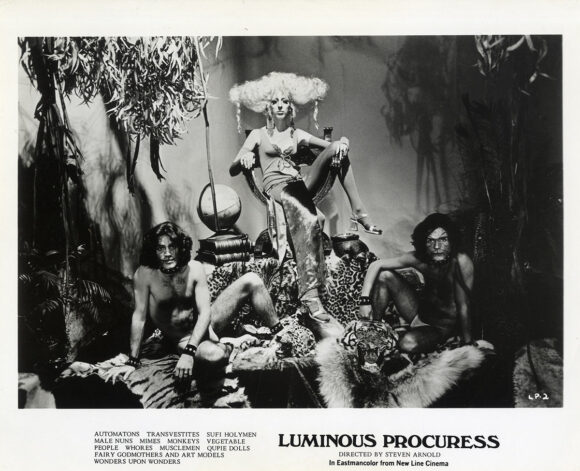 LUMINOUS PROCURESS (1971) Set of 2 photos